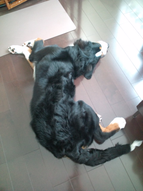 20100802110457.jpg